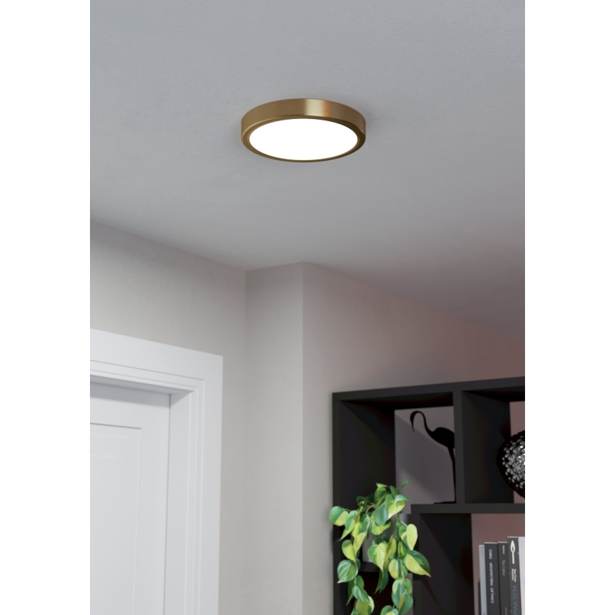 Eglo - LED-Deckenleuchte LED/17W/230V Ø 21 cm Ø 21 cm