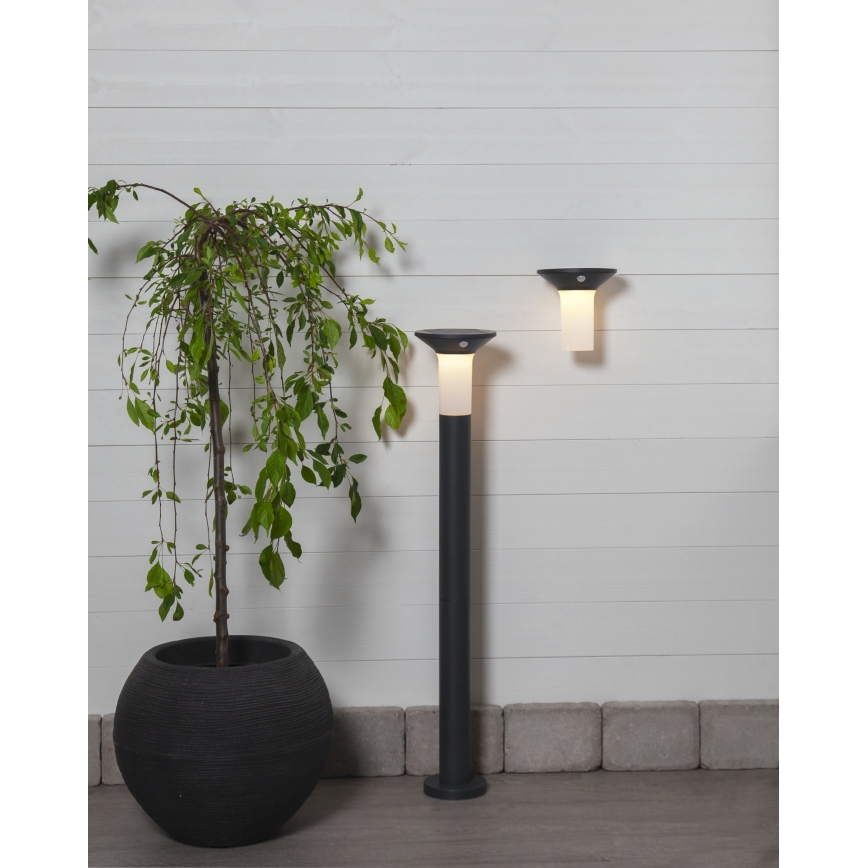 Eglo - LED-Solar-Außenleuchte mit Sensor 6xLED/0,03W/3,7V 1500 mAh IP44