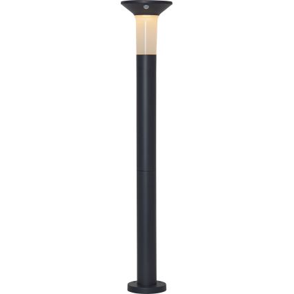 Eglo - Outdoor-LED-Solarleuchte mit Sensor 6xLED/0,03W/3,7V 1500 mAh IP44
