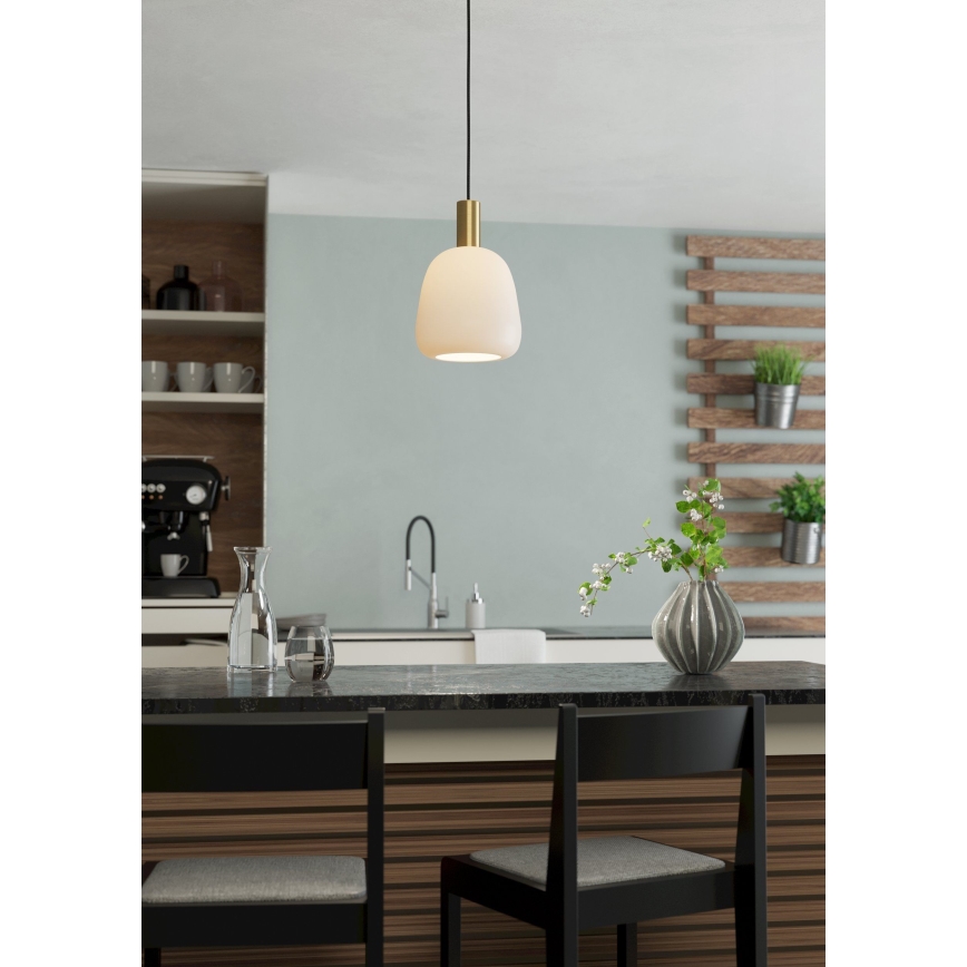 Eglo - Hängeleuchte an Kabel 1xE27/40W/230V