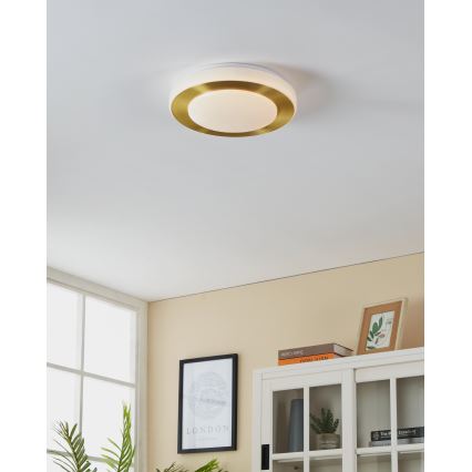 Eglo - LED-Deckenleuchte fürs Badezimmer LED/10,8W/230V IP44