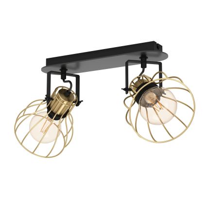 Eglo - Deckenstrahler 2xE27/40W/230V