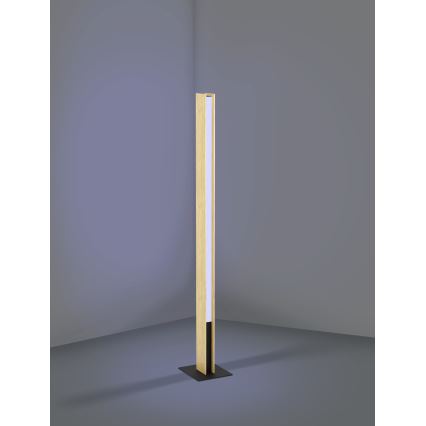 Eglo - Dimmbare LED-RGBW-Stehleuchte LED/35W/230V 2700-6500K