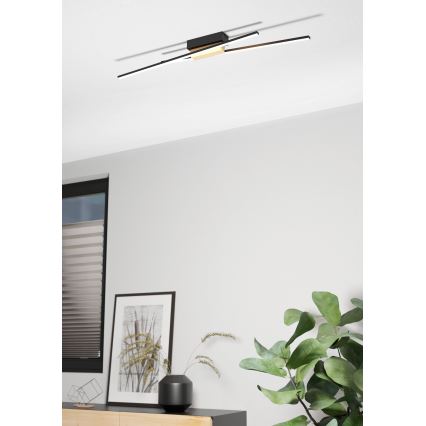 Eglo - LED dimmbare Deckenleuchte 2xLED/13W/230V