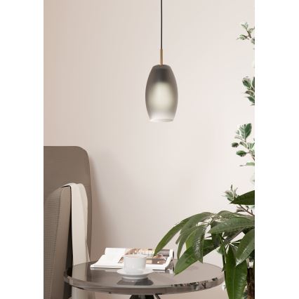 Eglo - Hängeleuchte an Kabel 1xE27/40W/230V