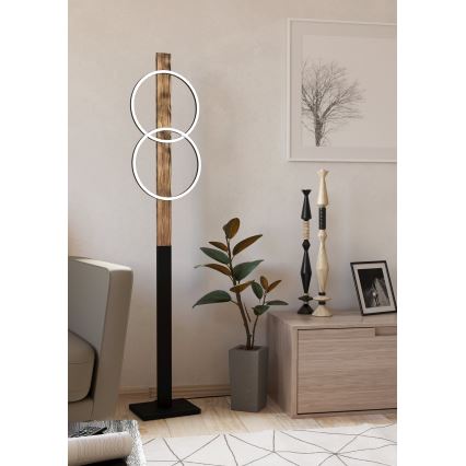 Eglo - LED-Stehleuchte 2xLED/12W/230V 3000K braun/schwarz