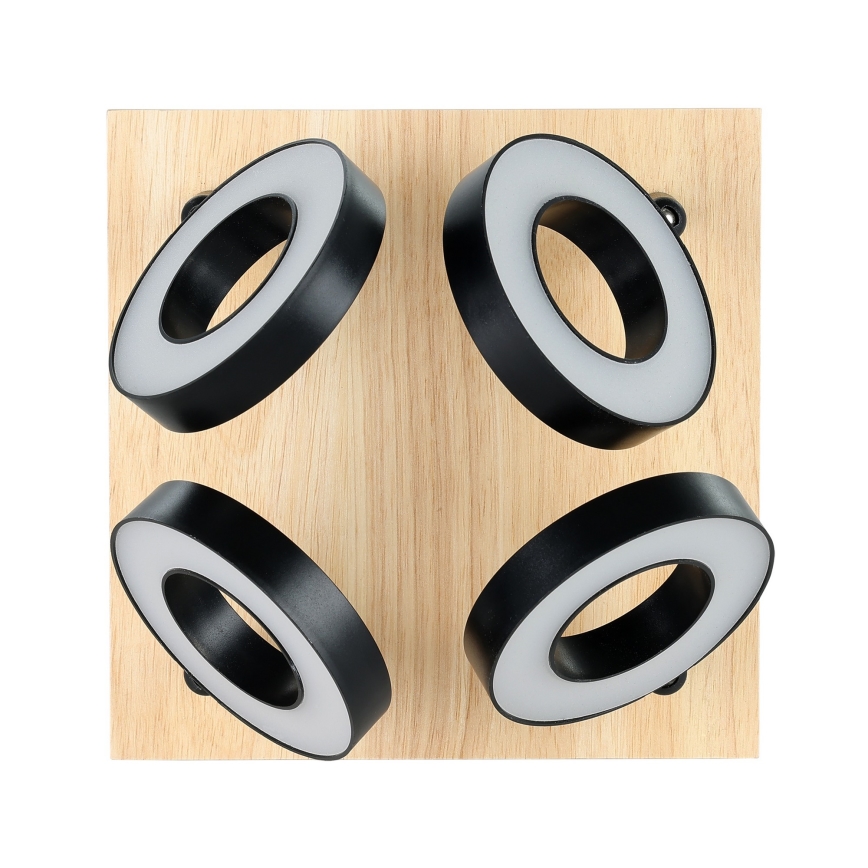 Eglo - LED-Einbaustrahler 4xLED/4,2W/230V schwarz/braun