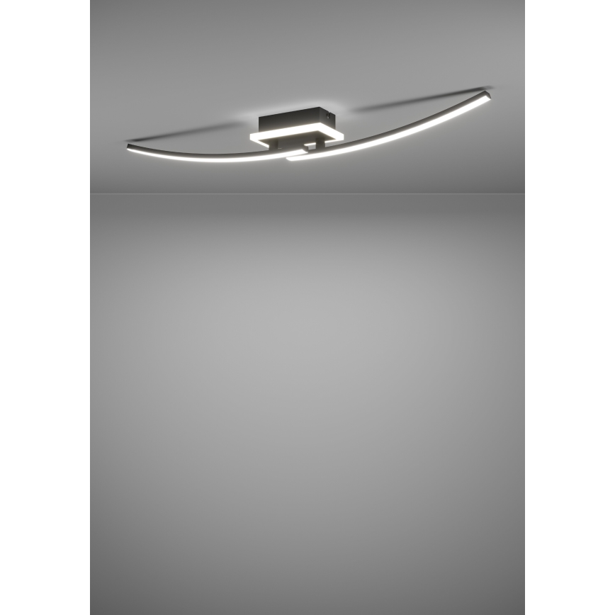 Eglo - LED-Deckenleuchte LED/12W/230V 4000K schwarz