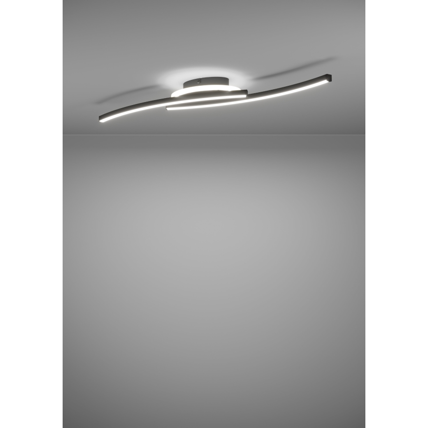 Eglo - LED-Deckenleuchte LED/12W/230V 4000K schwarz