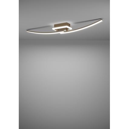 Eglo - LED-Deckenleuchte LED/12W/230V 4000K kupfern
