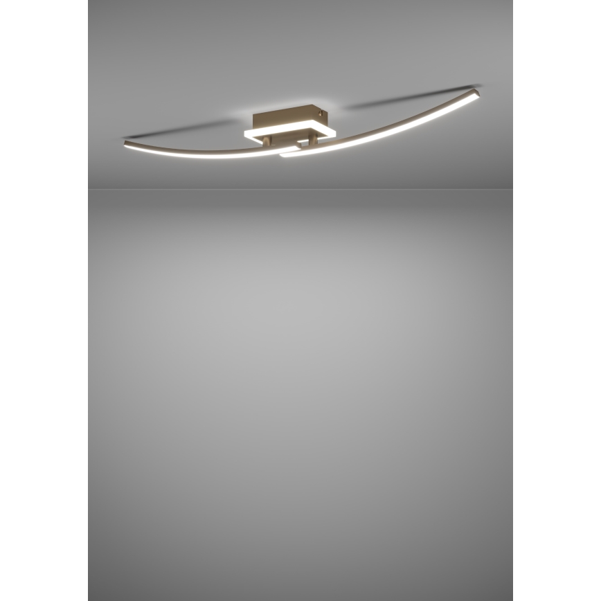 Eglo - LED-Deckenleuchte LED/12W/230V 4000K kupfern
