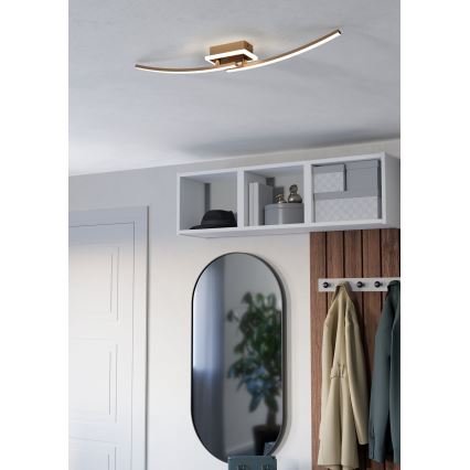 Eglo - LED-Deckenleuchte LED/12W/230V 4000K kupfern
