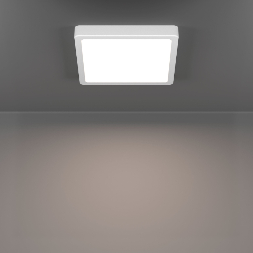 Eglo - LED-Deckenleuchte LED/10,5W/230V 2700/4000/6500K 22x22 cm weiß