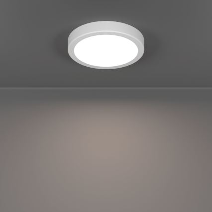 Eglo - LED Badezimmer-Deckenleuchte LED/7,5W/230V pr. 16,6 cm IP44 weiß