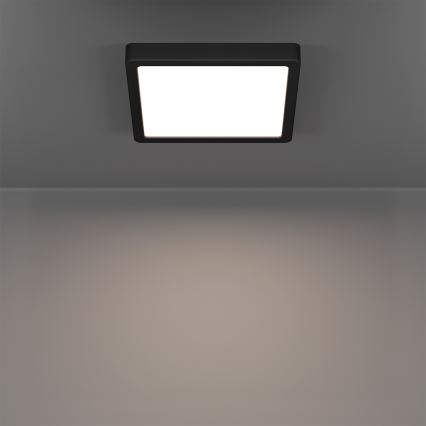 Eglo - LED RGBW dimmbare Badezimmer-Deckenleuchte LED/10,5W/230V 2700-6500K 22x22 cm IP44 schwarz