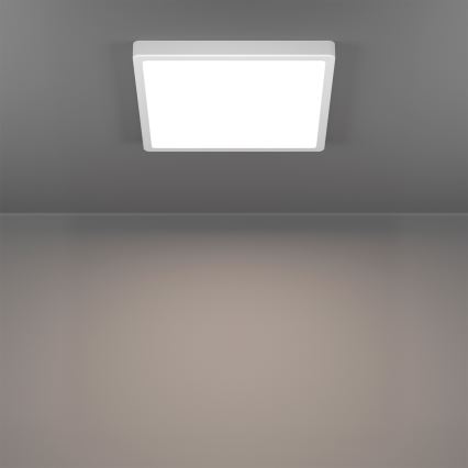 Eglo - LED RGBW, dimmbar, Badezimmer-Deckenleuchte LED/13,5W/230V 2700-6500K 29,5x29,5 cm IP44 weiß