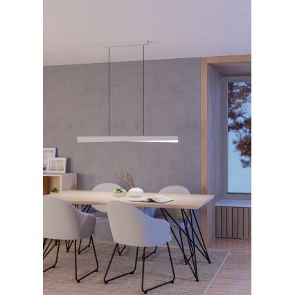Eglo - LED RGBW dimmbare Pendelleuchte mit Seilaufhängung LED/19W/230V 2700-6500K grau