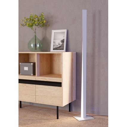 Eglo - LED RGBW dimmbare Stehleuchte LED/10,5W/230V + LED/15,2W grau