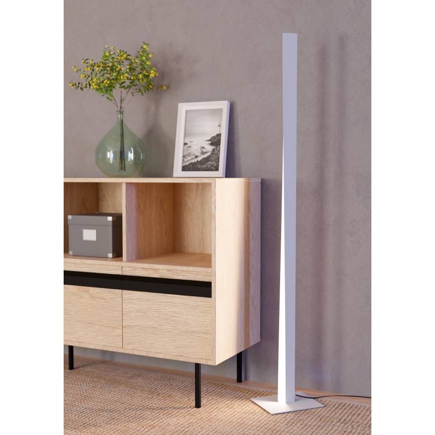 Eglo - LED RGBW dimmbare Stehleuchte LED/10,5W/230V + LED/15,2W grau