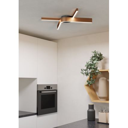 Eglo - LED RGBW dimmbare Deckenleuchte 2xLED/18W/230V 2700-6500K kupfer/schwarz