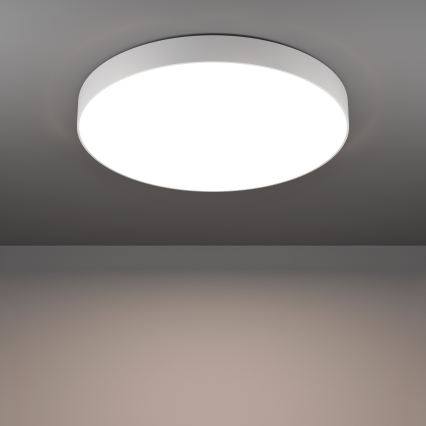 Eglo - LED RGBW dimmbare Deckenleuchte LED/36,5W/230V 2700-6500K Ø 69 cm weiß
