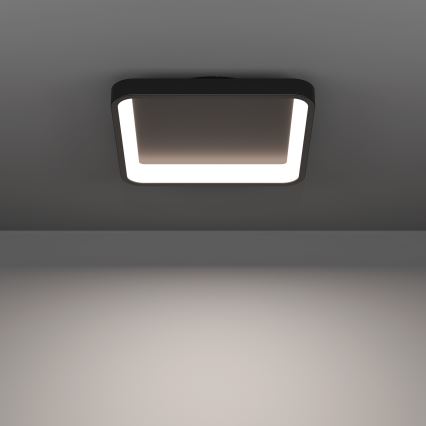 Eglo - LED RGBW dimmbare Deckenleuchte LED/20W/230V 2700-6500K 35x35 cm schwarz