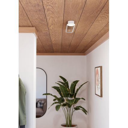 Eglo - LED Deckenleuchte LED/24W/230V 2700/4000/6500K weiß