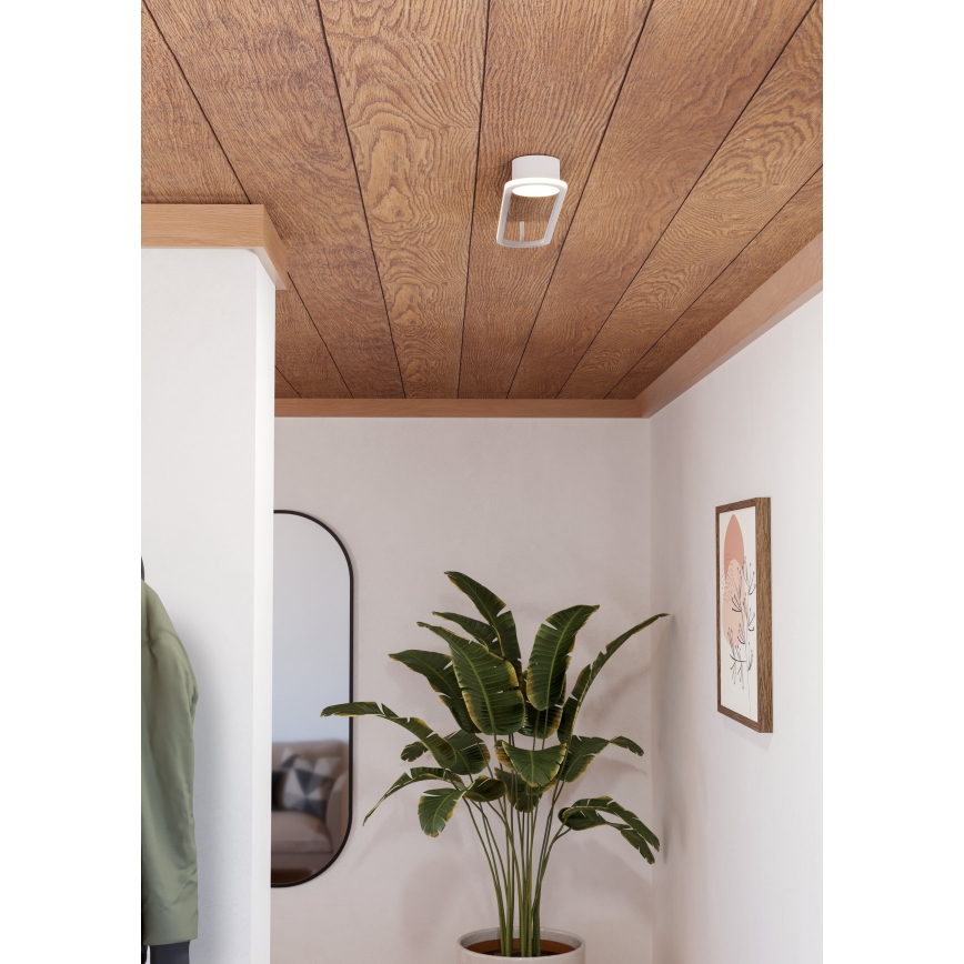 Eglo - LED Deckenleuchte LED/24W/230V 2700/4000/6500K weiß