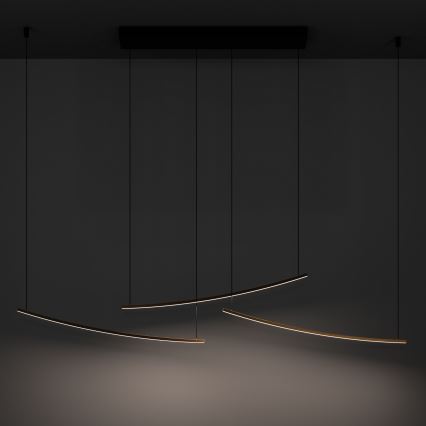 Eglo - LED-dimmbare Pendelleuchte an Kabel LED/22W/230V 2700/4000/6500K goldfarben