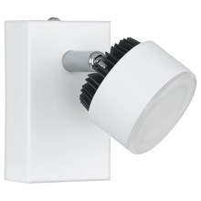 Eglo 93852 - LED Spotlight ARMENTO 1xLED/6W/230V