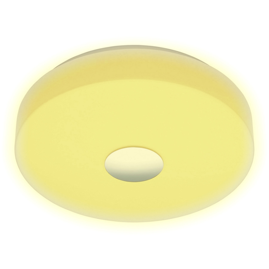 Eglo 96819 - LED-Dimmwand-Deckenleuchte BERAMO-C LED/17W/230V