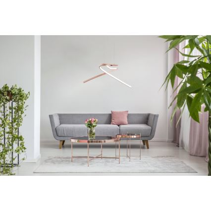 Eglo 97362 - LED Hängeleuchte PALOZZA 2xLED/11W/230V