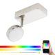 Eglo 97714 - Dimmbarer LED-RGB-Strahler CORROPOLI-C LED/5W/230V