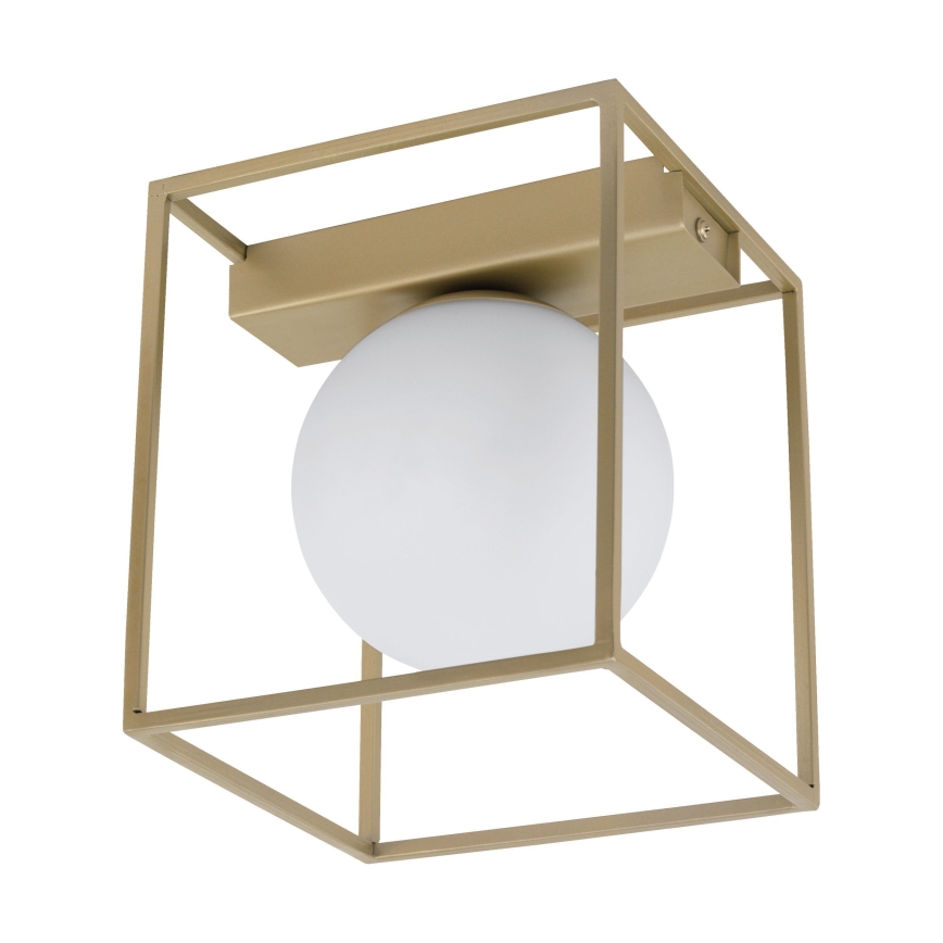 Eglo 97791 - Aufgesetzte Deckenleuchte VALLASPRA 1xE14/40W/230V