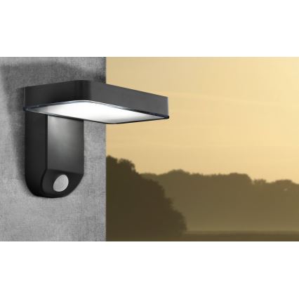 Eglo - LED Solar-Wandleuchte mit Sensor LED/4,5W/3,7V 2200 mAh IP44