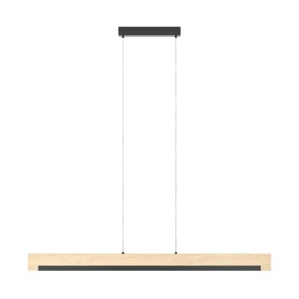 Eglo - LED dimmbare Hängeleuchte an Kabel LED/25,5W/230V