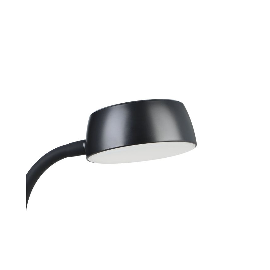 Eglo - LED Tischlampe LED/4,5W/230V