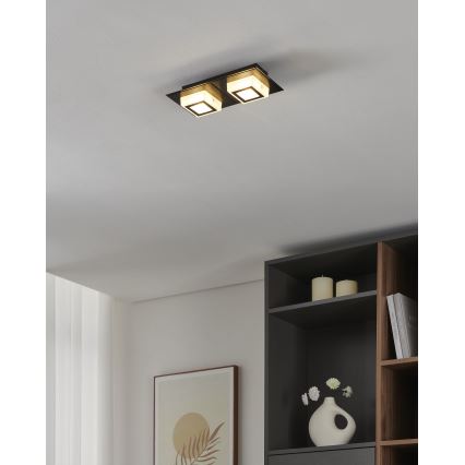 Eglo 99362 - LED-Deckenleuchte MASIANO 2xLED/3,3W/230V
