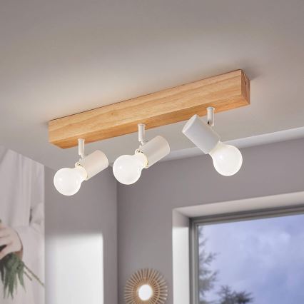 Eglo - Strahler TOWNSHEND 3xE27/60W/230V