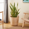 Eglo - Dekorativer Korb 41x36 cm beige