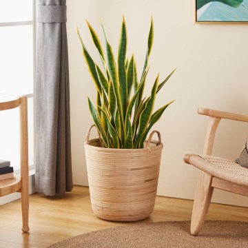 Eglo - Dekorativer Korb 41x36 cm beige