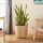 Eglo - Dekorativer Korb 41x36 cm beige