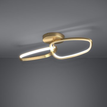 Eglo - Dimmbare LED-Anbauleuchte LED/25W/230V 3000K golden