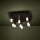 Eglo - Dimmbare LED-Deckenleuchte 9xLED/3,1W/230V 3000K anthrazit/golden