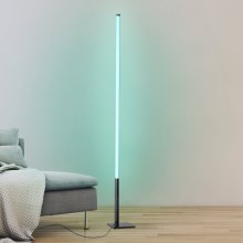 Eglo – Dimmbare LED-RGB-Stehleuchte LED/13,5W/230V 2700-6500K +Fernbedienung