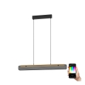 Eglo - Dimmbare LED-RGBW-Hängeleuchte LED/34W/230V 2700-6500K