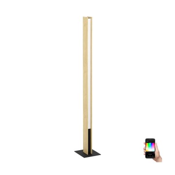 Eglo - Dimmbare LED-RGBW-Stehleuchte LED/35W/230V 2700-6500K