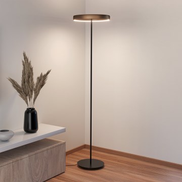 Eglo - Dimmbare LED-Stehlampe mit Bewegungsmelder 2xLED/19W/230V 2200-6500K braun