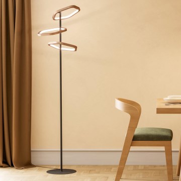 Eglo - Dimmbare LED-Stehleuchte LED/20W/230V 2200-6500K Messing