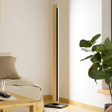 Eglo - Dimmbare LED-Stehleuchte mit Touch-Funktion CAMACHO LED/22W/230V